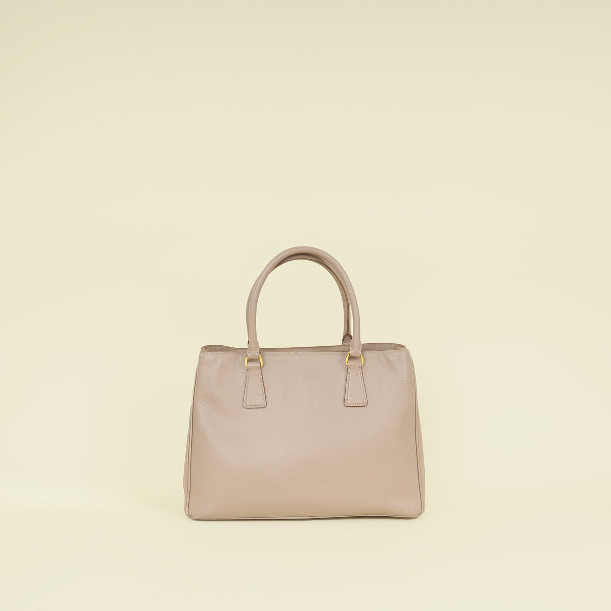 Prada Cammeo LuxGardener's Small Tote Bag