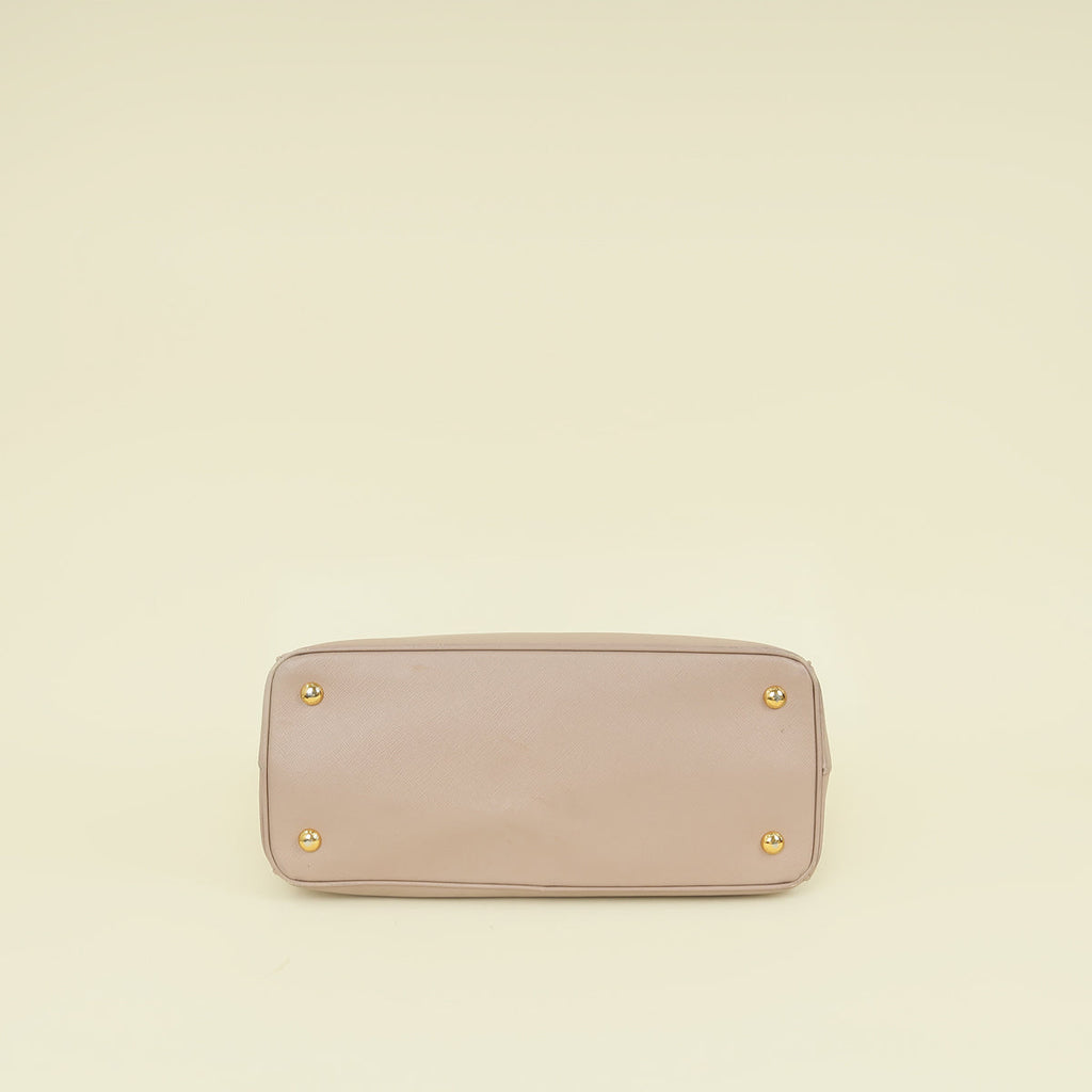 Prada Cammeo LuxGardener's Small Tote Bag
