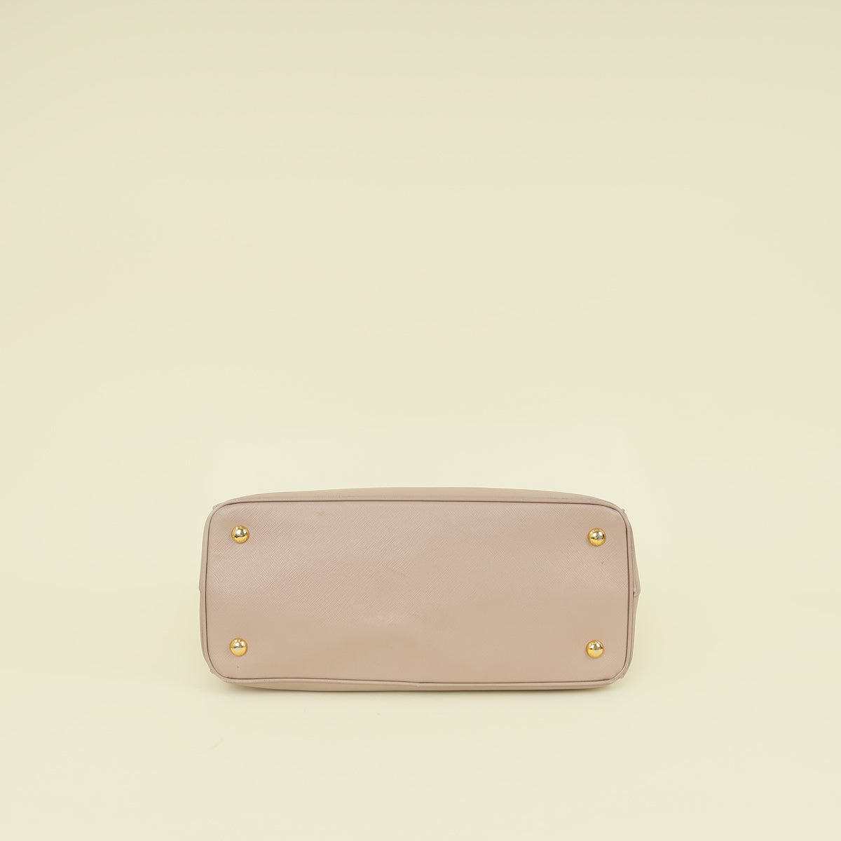 Prada Cammeo LuxGardener's Small Tote Bag