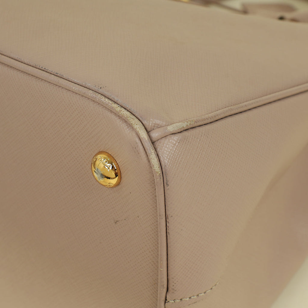 Prada Cammeo LuxGardener's Small Tote Bag