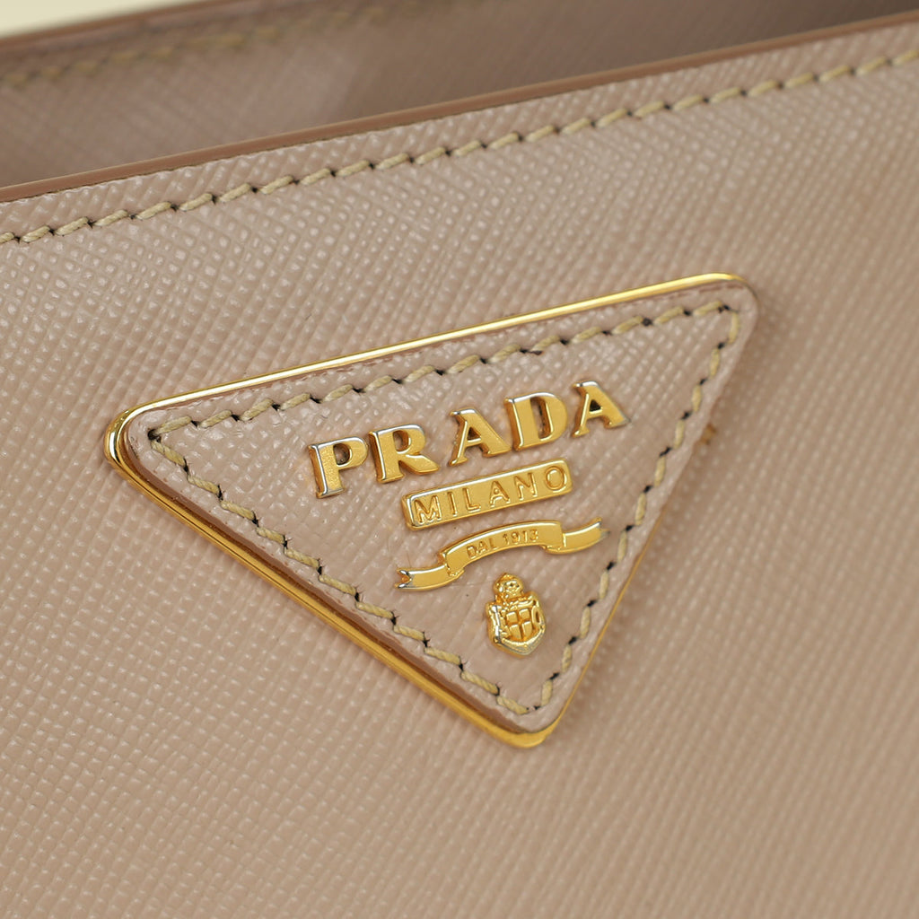 Prada Cammeo LuxGardener's Small Tote Bag