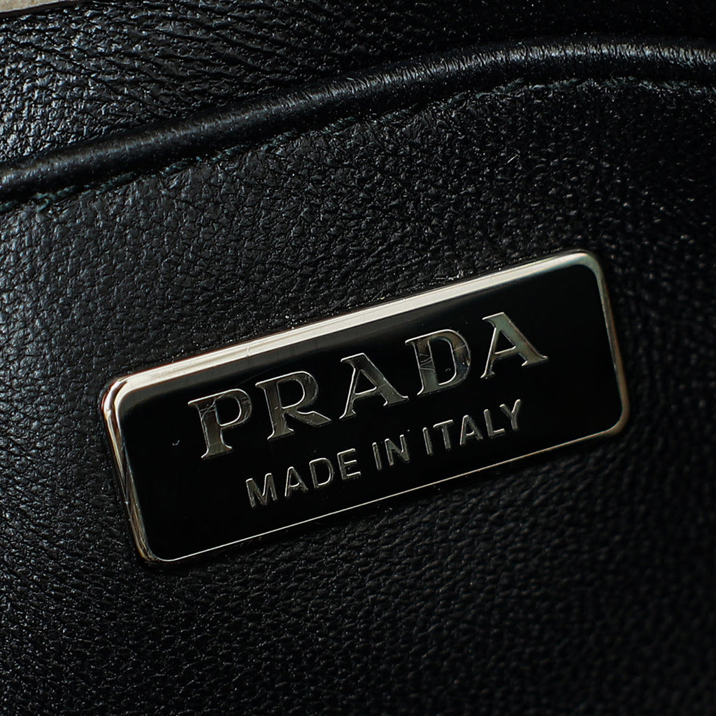 Prada Bicolor Python Promenade Mini Bag