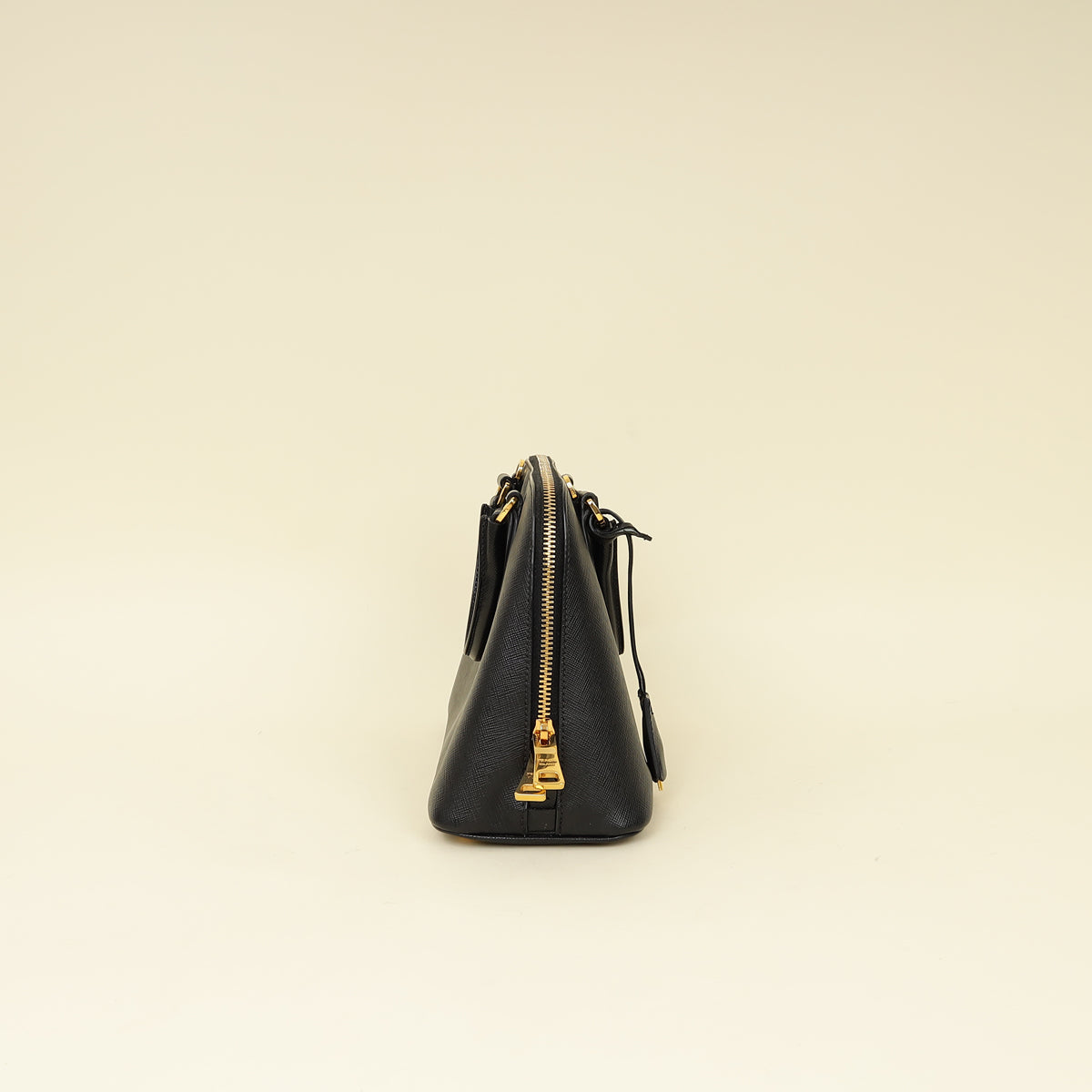 Prada Black Lux Promenade Small Bag