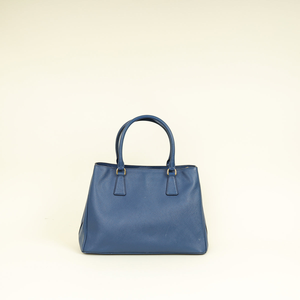 Prada Bluette Gardener's Small Tote Bag