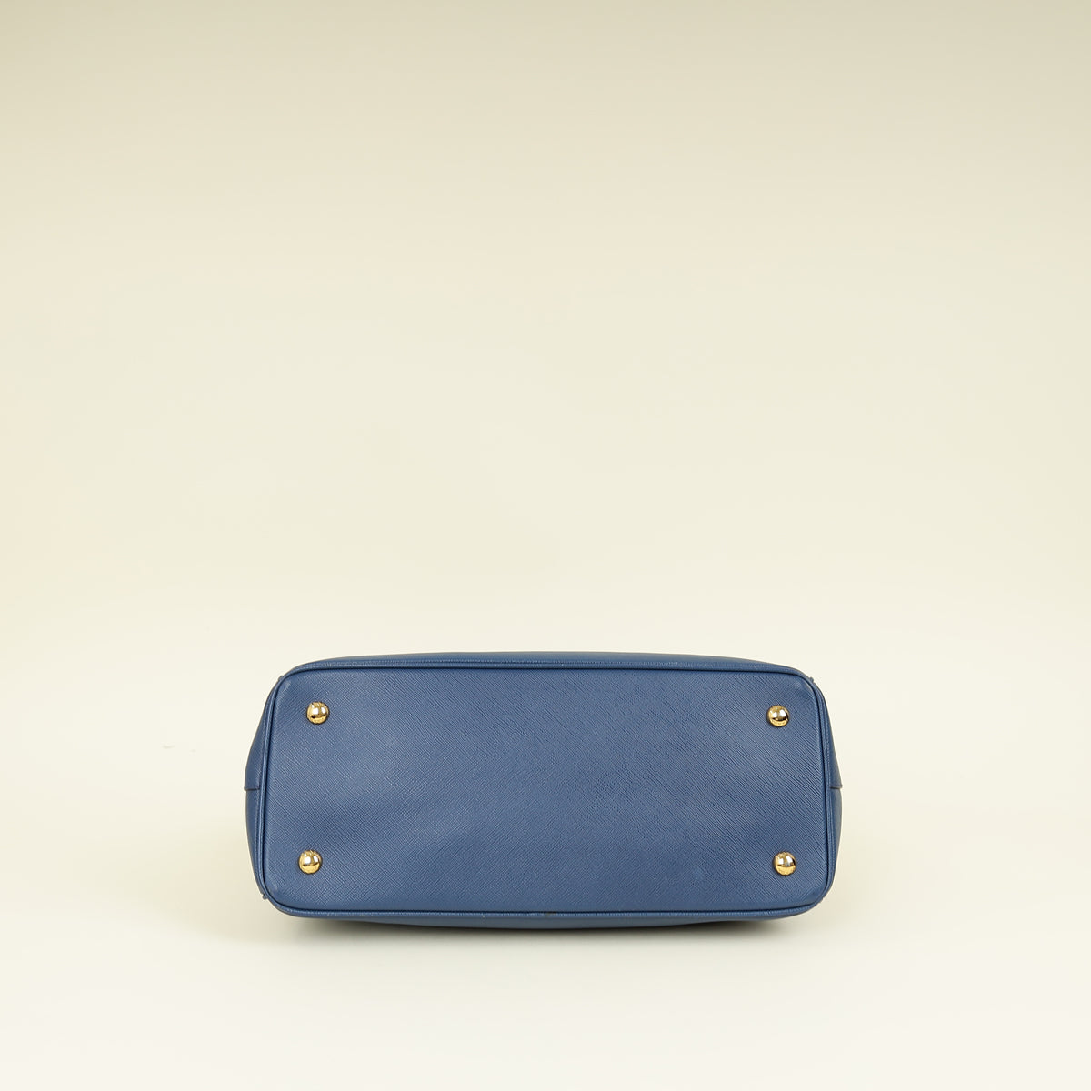 Prada Bluette Gardener's Small Tote Bag