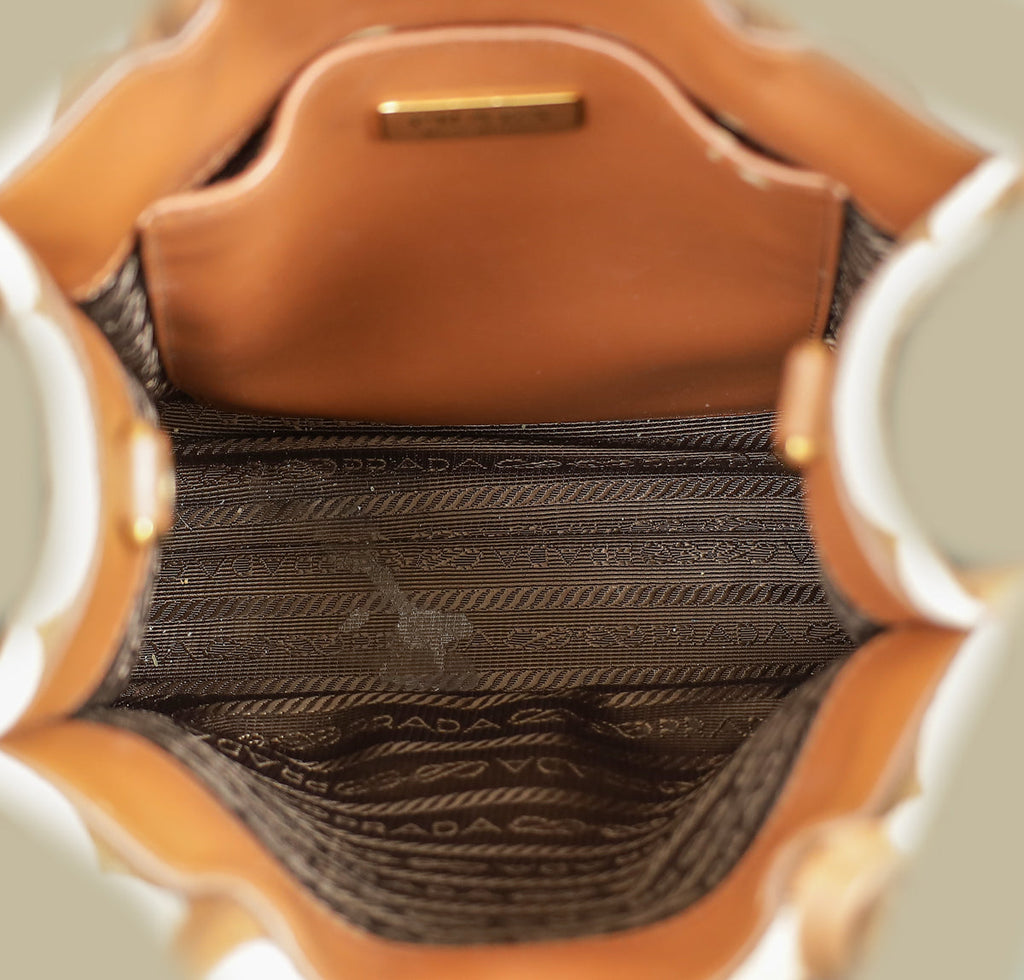 Prada Brown Symbole Mini Bag