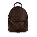 Louis Vuitton Palm Springs Backpack PM