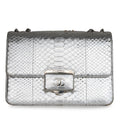 Chanel Python Flap Bag - Metallic