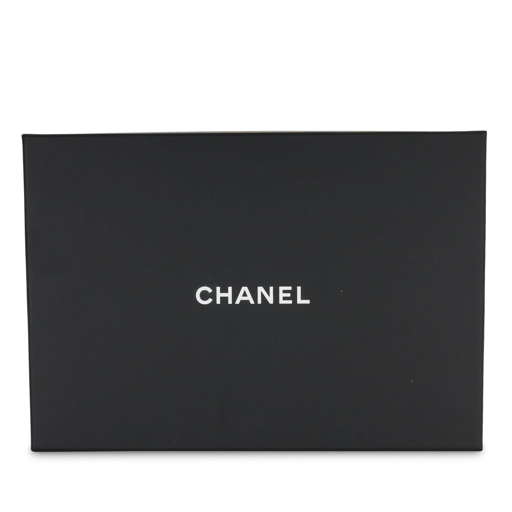 Chanel Top Handle Wallet on Chain