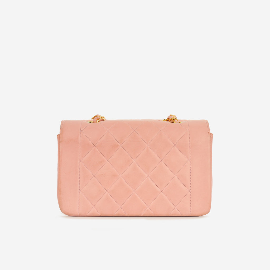 Chanel Vintage Small Diana