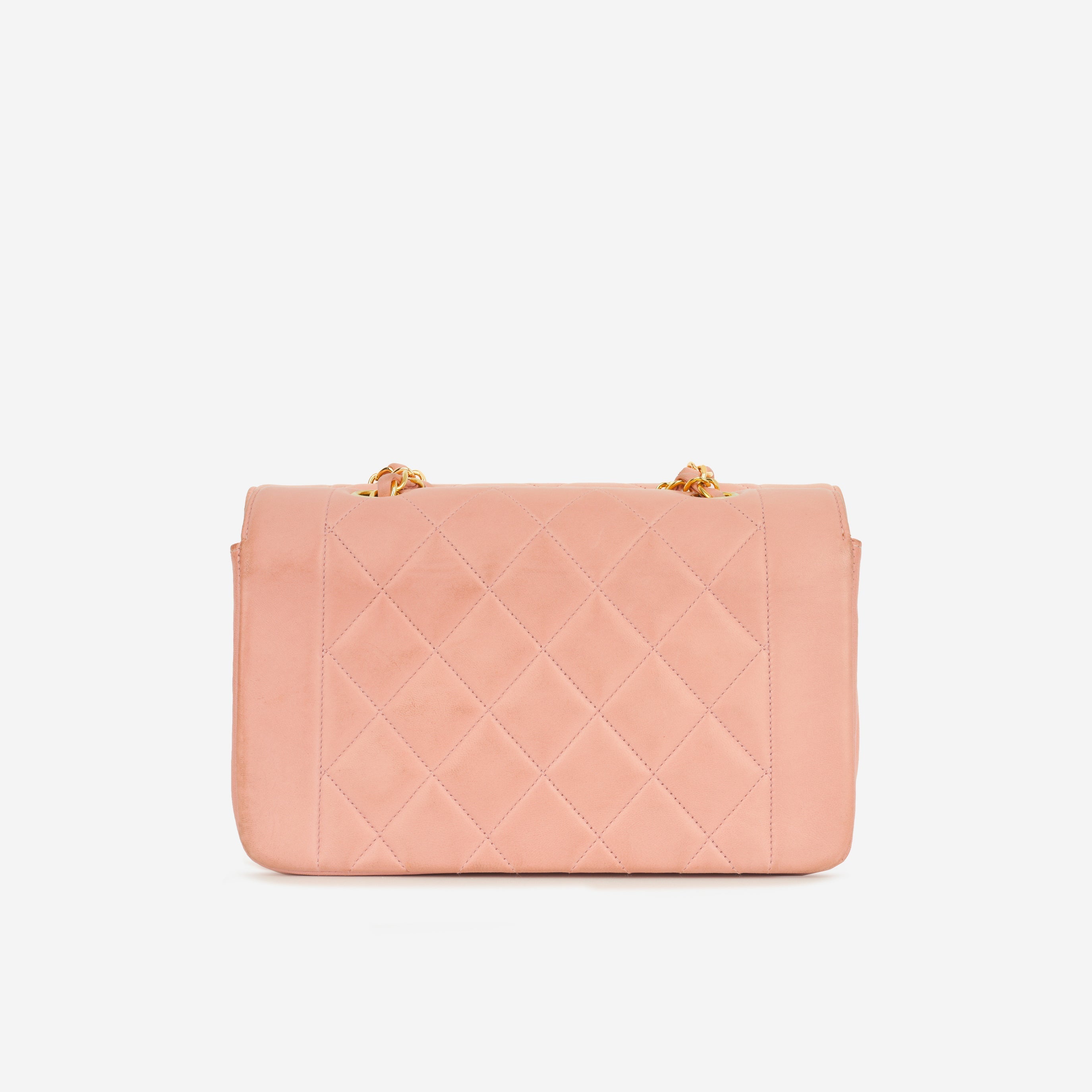 Chanel Vintage Small Diana