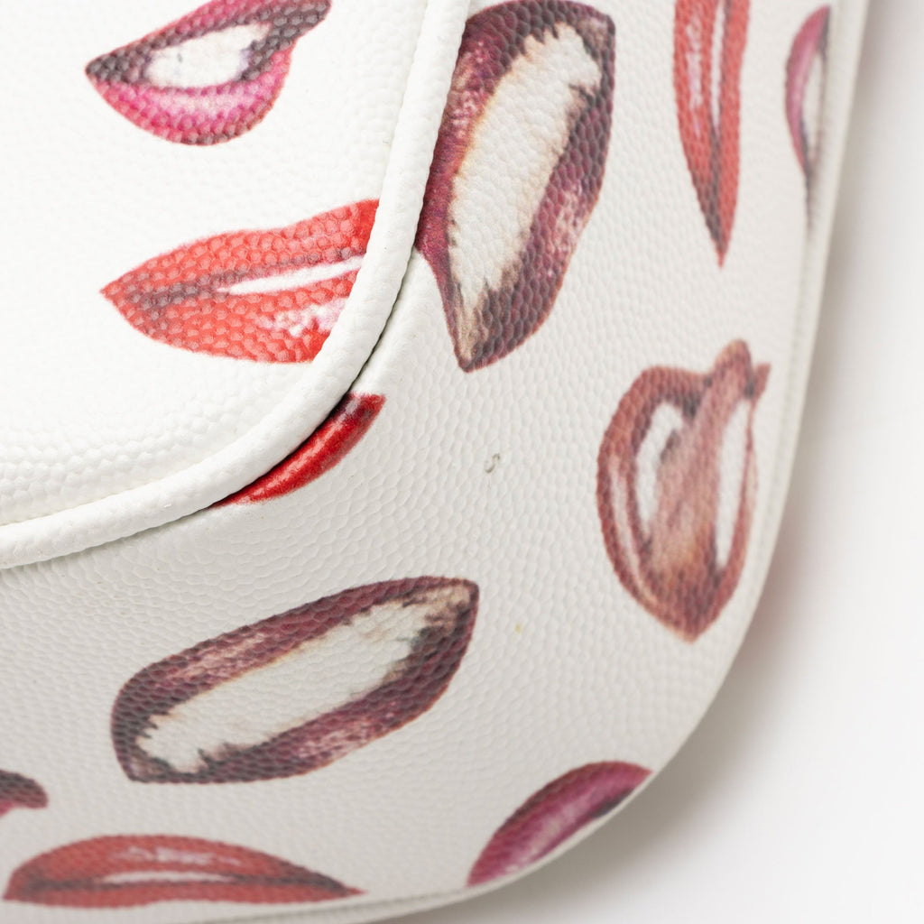 Saint Laurent Grain de Poudre Lips Monogram Lou Camera Bag