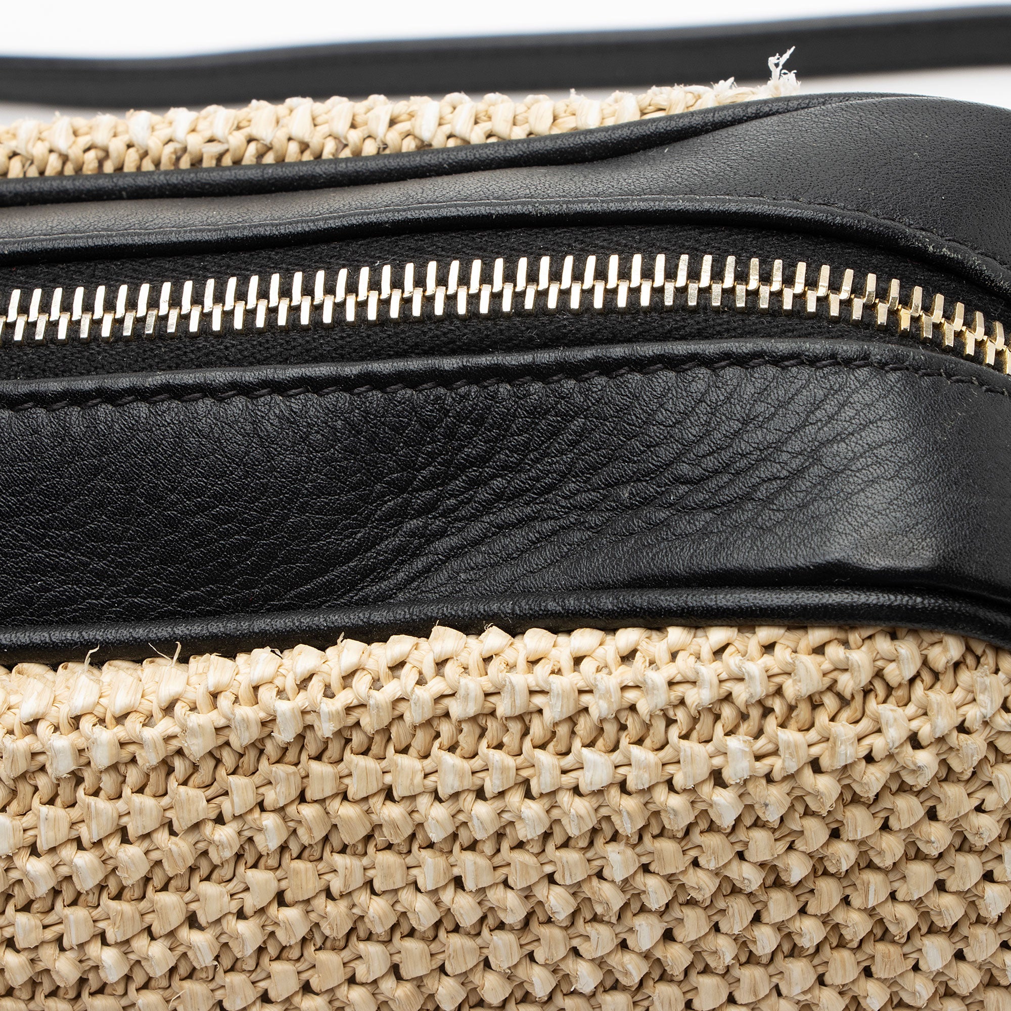 Saint Laurent Raffia Calfskin Monogram Lou Camera Bag