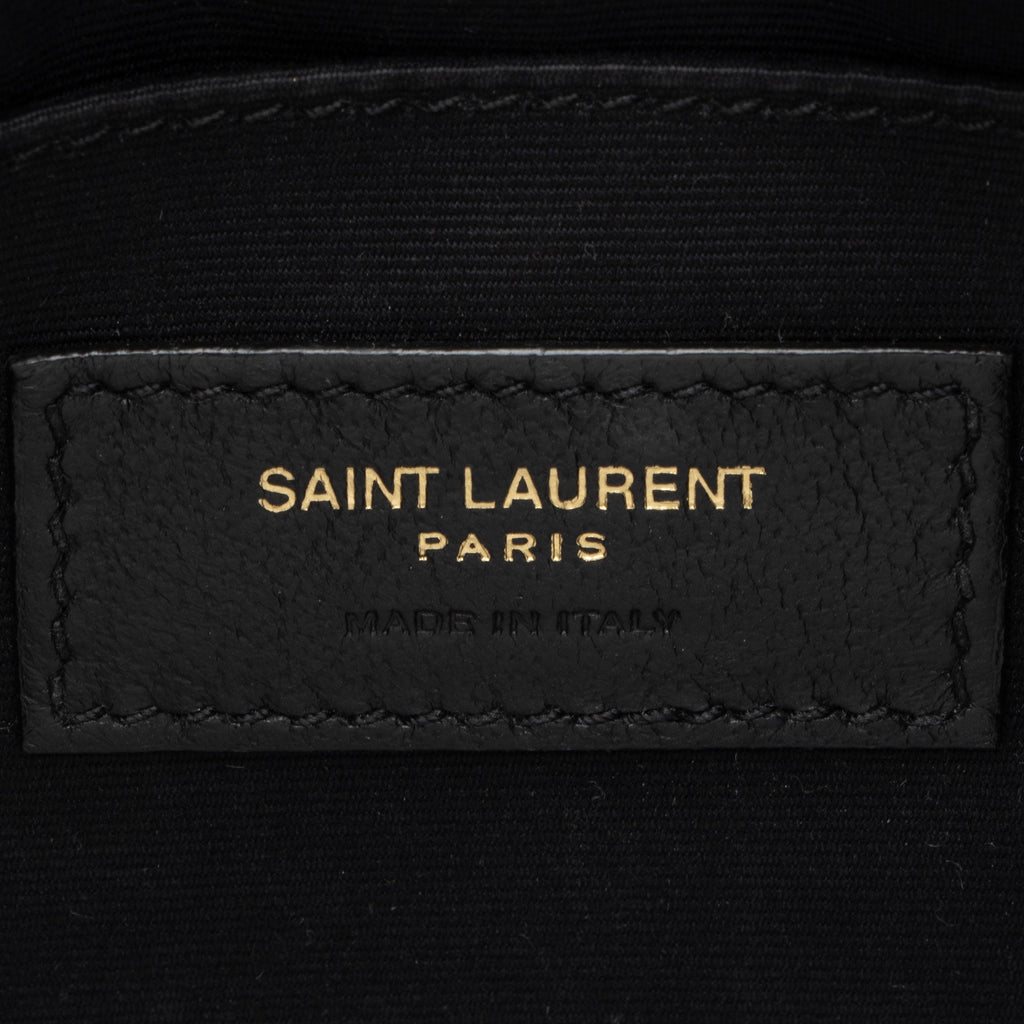 Saint Laurent Raffia Calfskin Monogram Lou Camera Bag