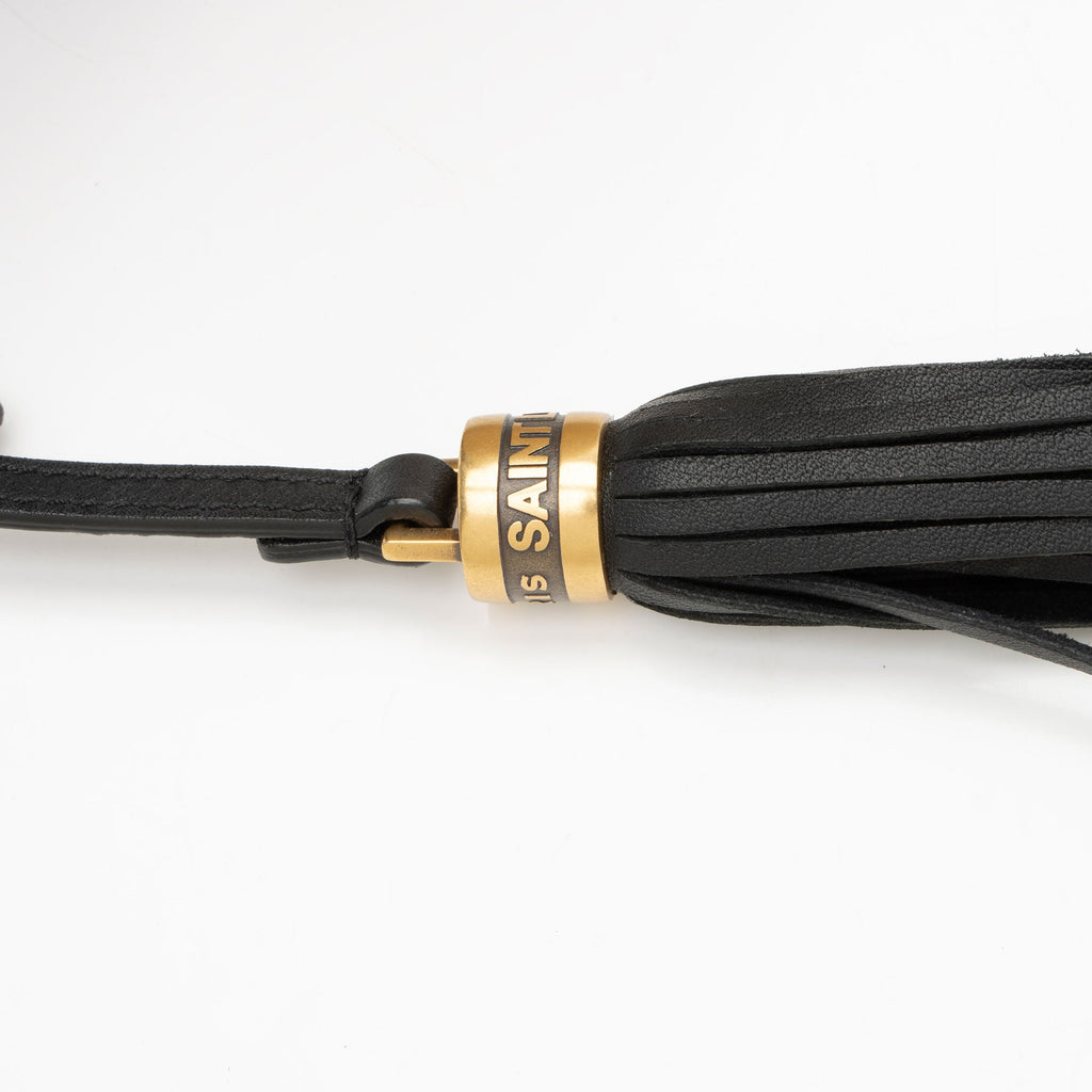 Saint Laurent Raffia Calfskin Monogram Lou Camera Bag