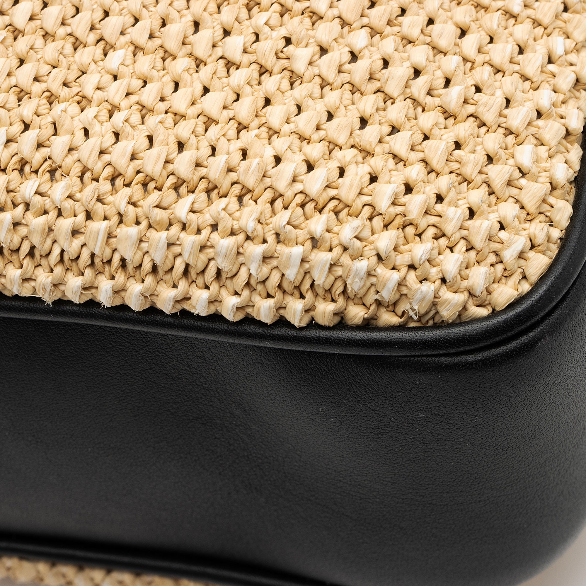 Saint Laurent Raffia Calfskin Monogram Lou Camera Bag