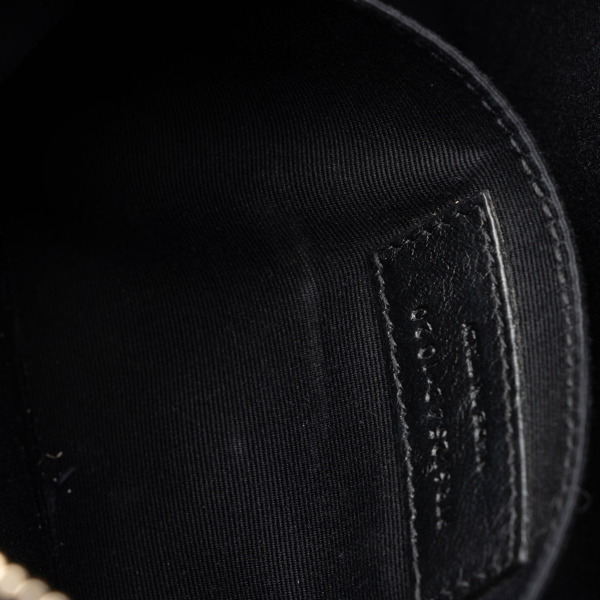 Saint Laurent Raffia Calfskin Monogram Lou Camera Bag