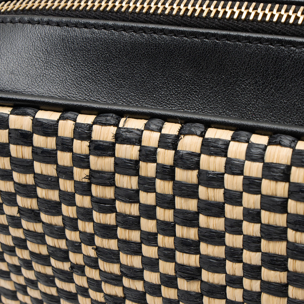 Saint Laurent Raffia Calfskin Monogram Lou Camera Bag