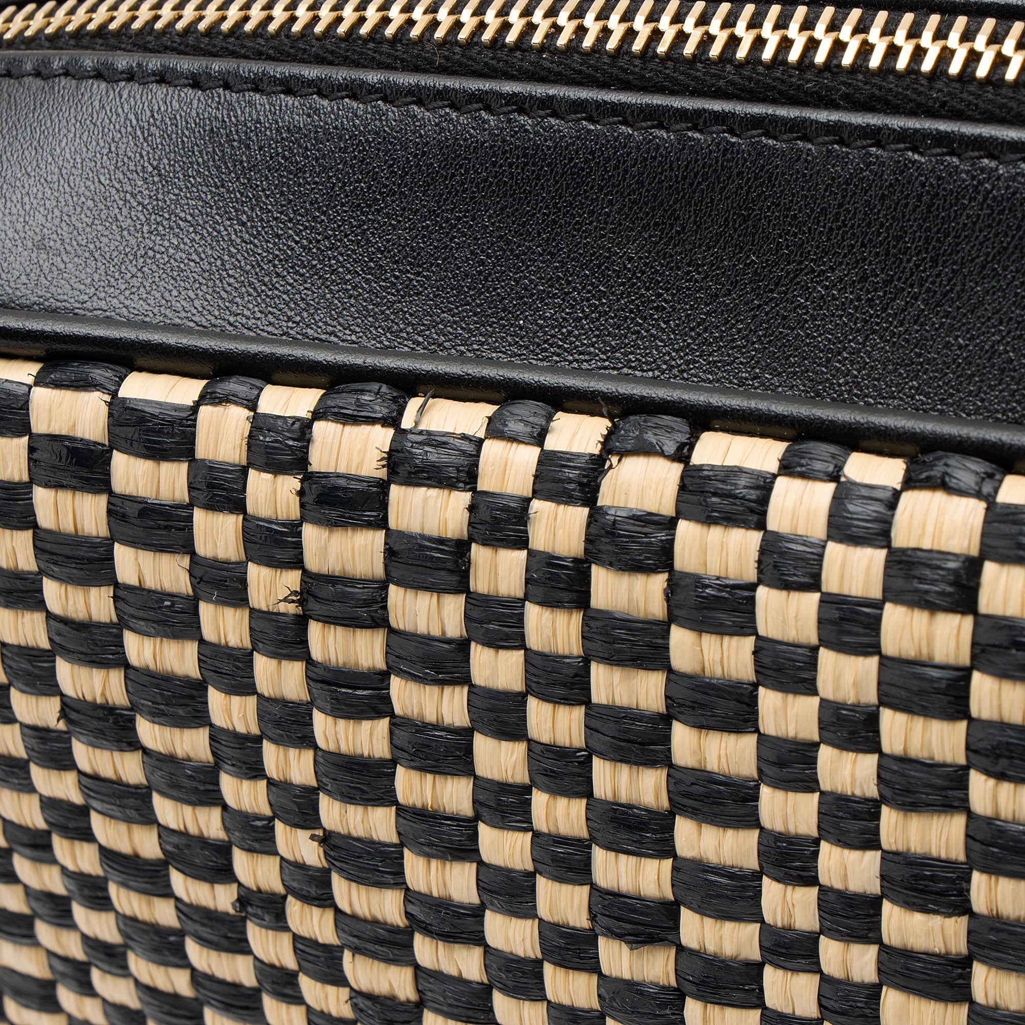 Saint Laurent Raffia Calfskin Monogram Lou Camera Bag
