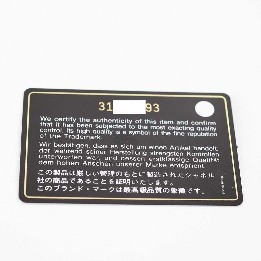 Chanel 19 Wallet on Chain WOC Lambskin Caramel
