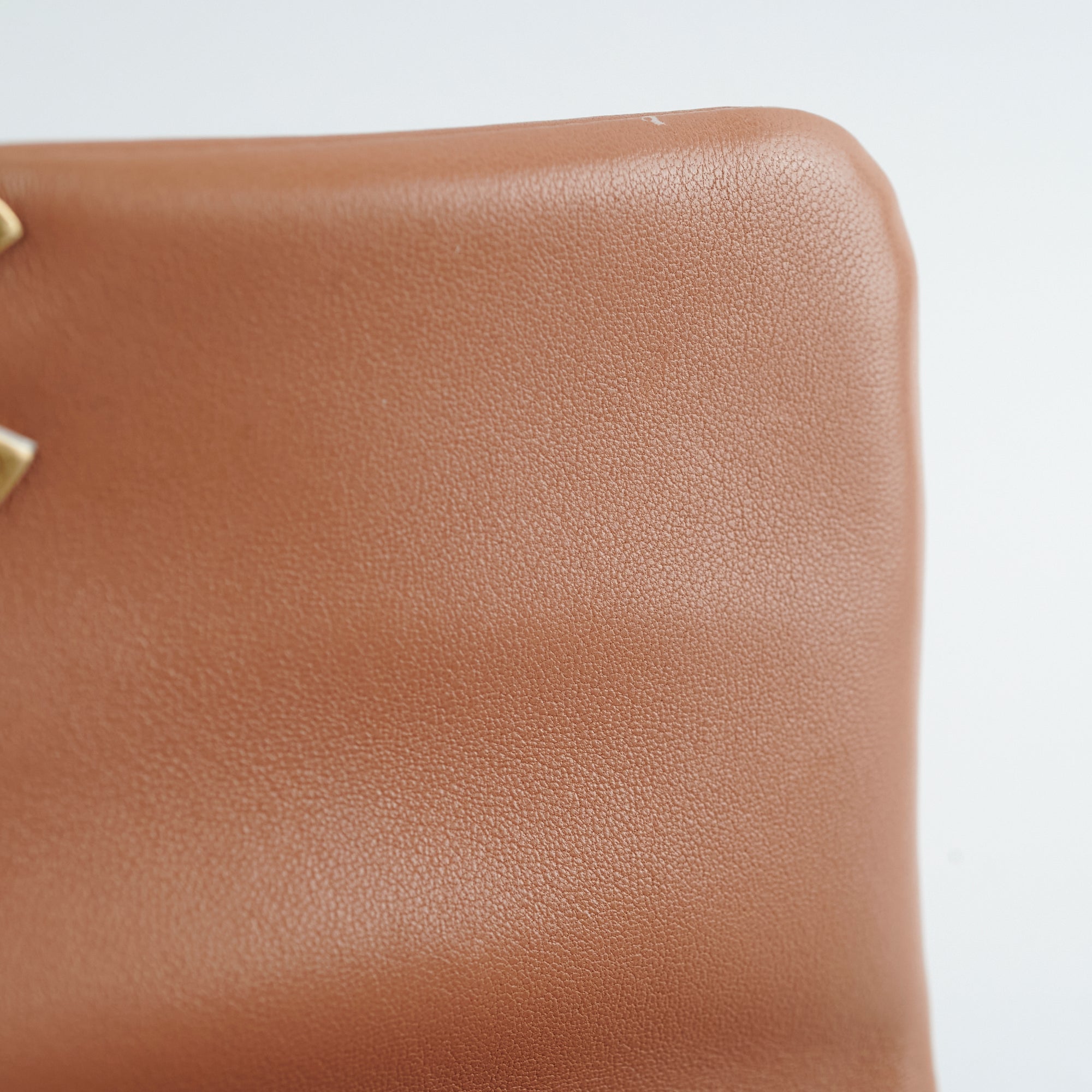 Chanel 19 Small Caramel - Microchip