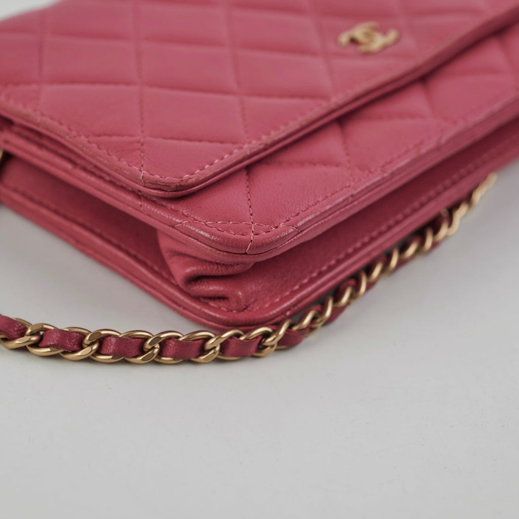 Chanel Wallet On Chain WOC Pink
