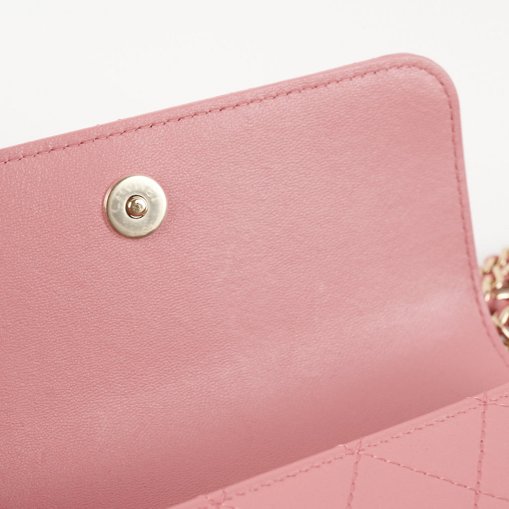 Chanel Seasonal Flap Pink Microchip