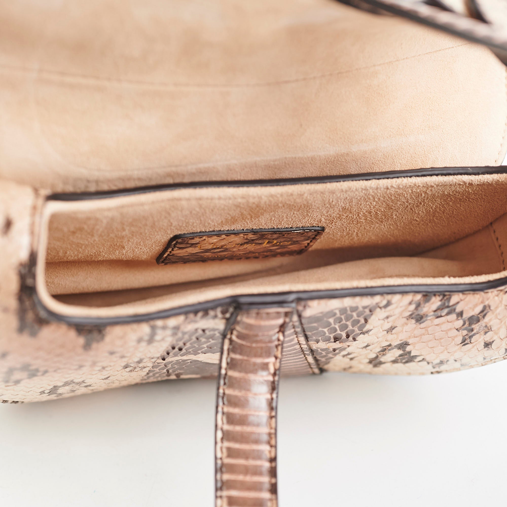 Christina Dior Mini Saddle Snake Skin