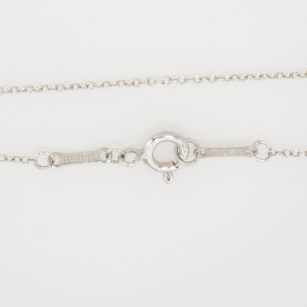 Tiffany & Co. Elsa Peretti Sterling Silver Eternal Circle Necklace