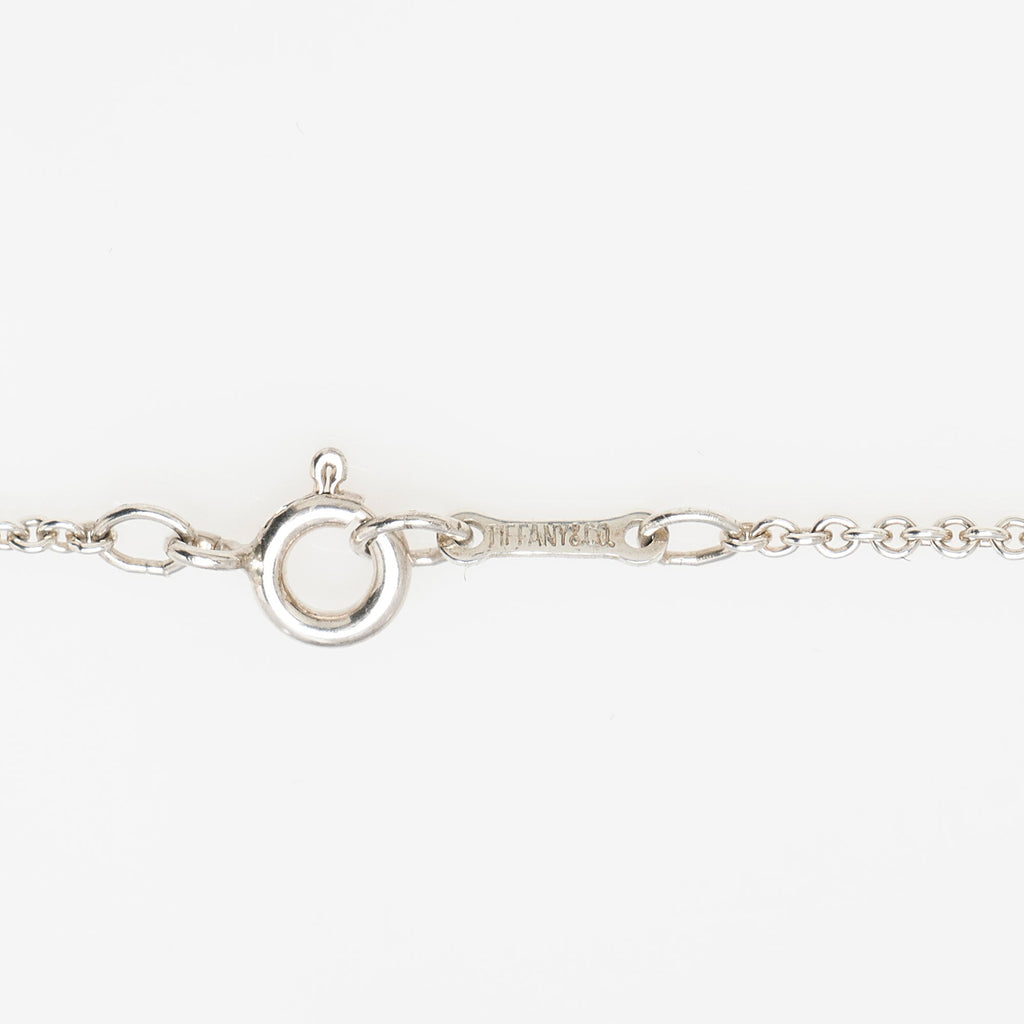 Tiffany & Co. Elsa Peretti Sterling Silver Eternal Circle Necklace
