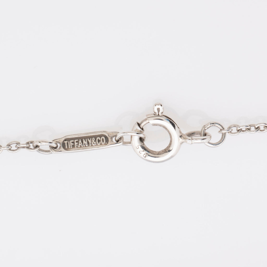 Tiffany & Co. Sterling Silver T. & Co. Letters Lariat Necklace
