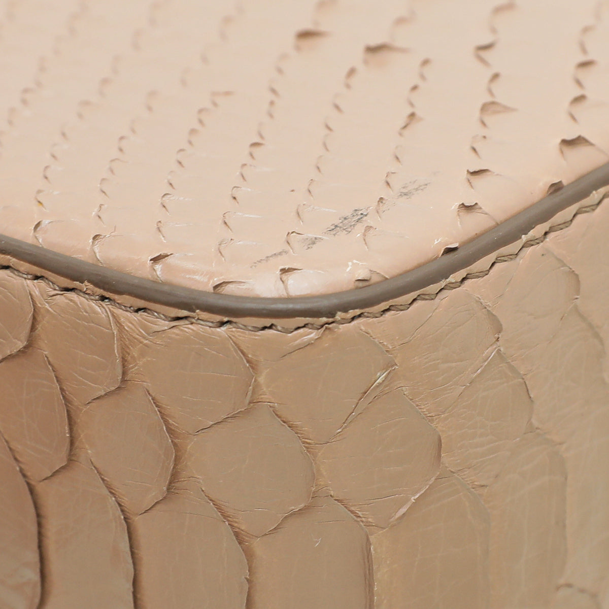 Tom Ford Nude Python Chain Natalia Small Bag