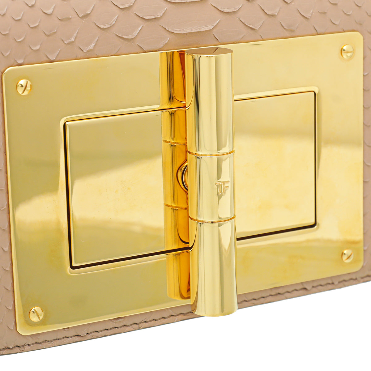 Tom Ford Nude Python Chain Natalia Small Bag
