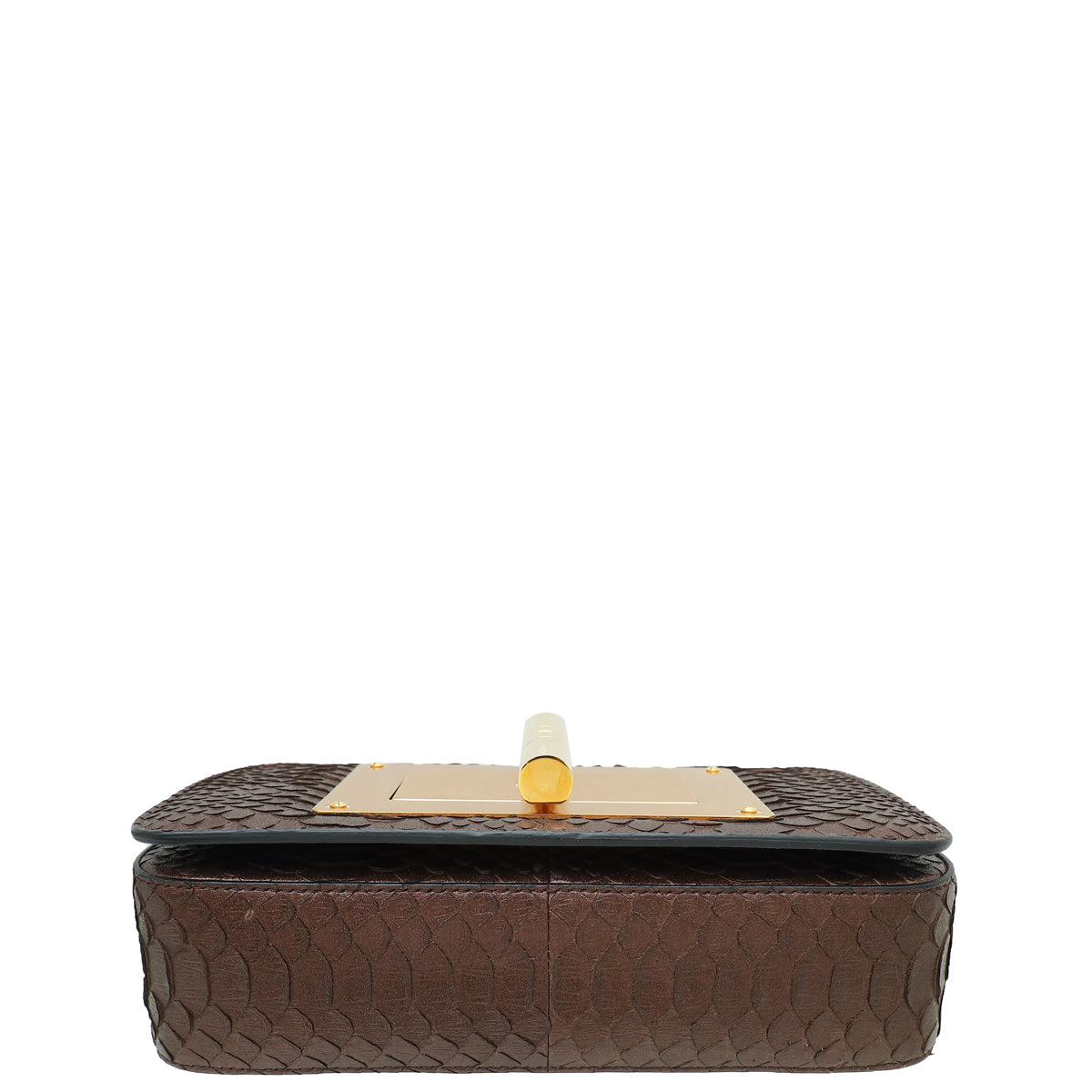 Tom Ford Metallic Brown Python Natalia Medium Chain Bag