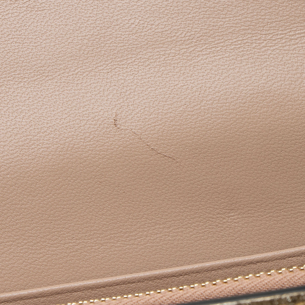 Valentino Metallic Grainy Calfskin VLogo Wallet on Chain