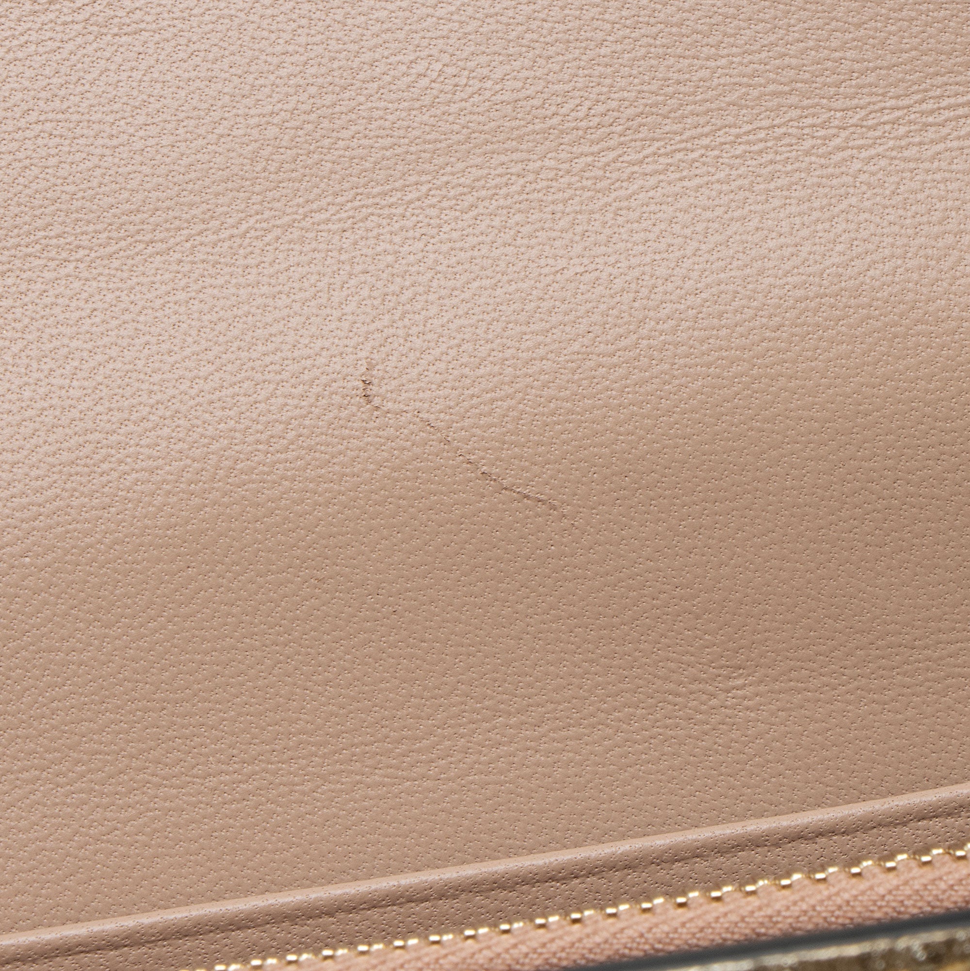 Valentino Metallic Grainy Calfskin VLogo Wallet on Chain