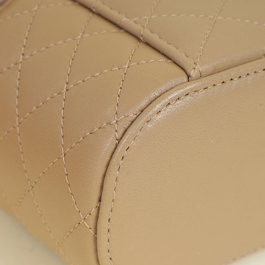 YSL Nude Gaby Vanity Bag
