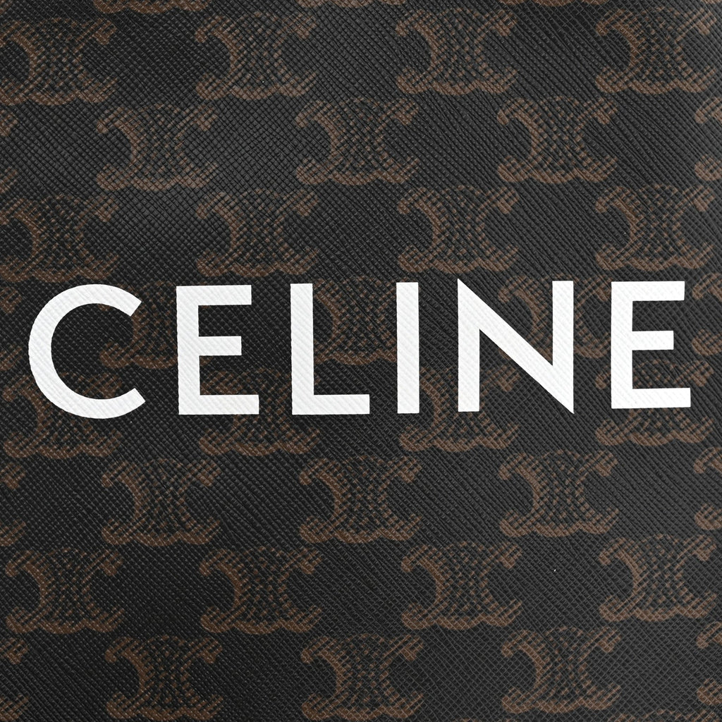 Triomphe Canvas Calfskin Mini Vertical Cabas Tan