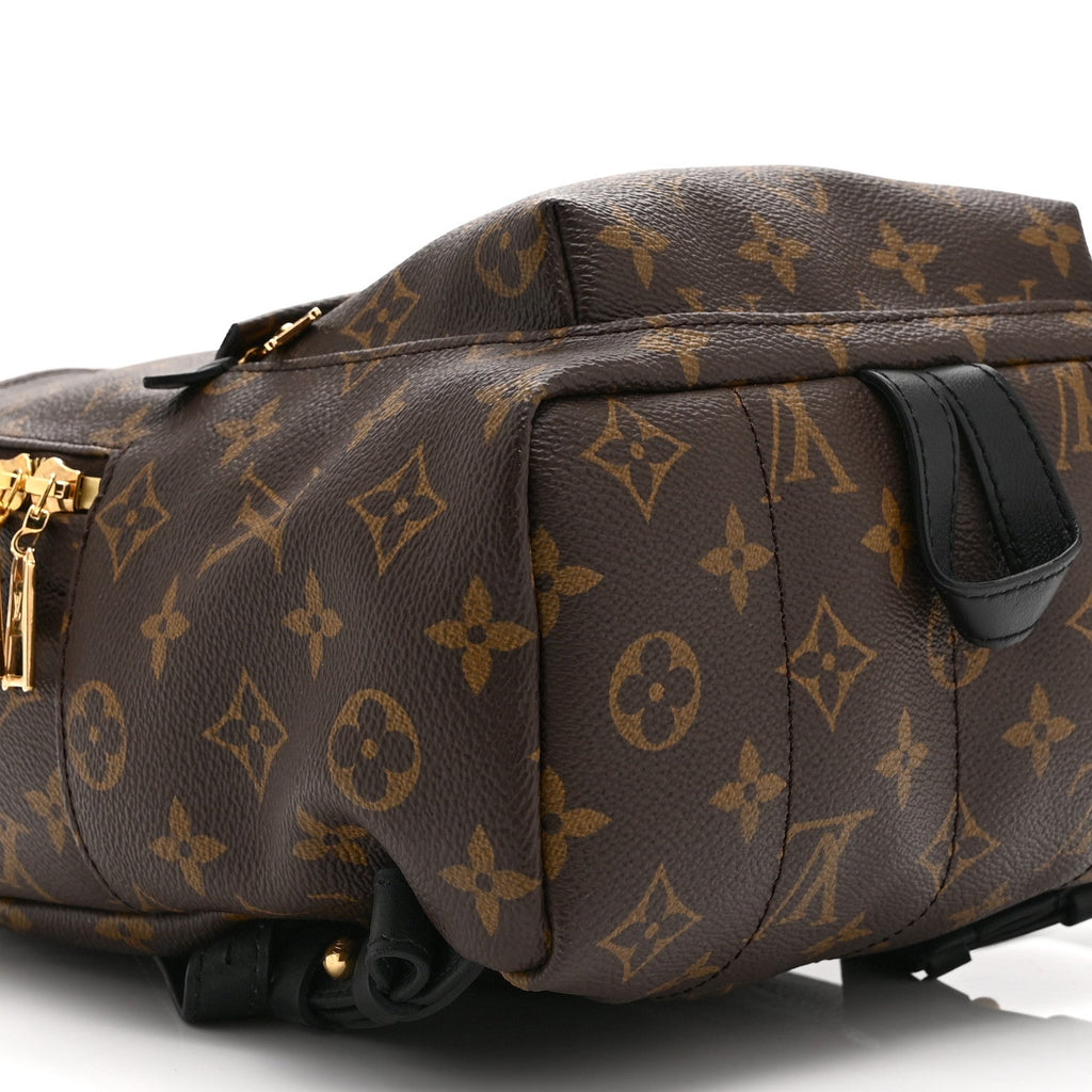 Monogram Palm Springs Backpack PM