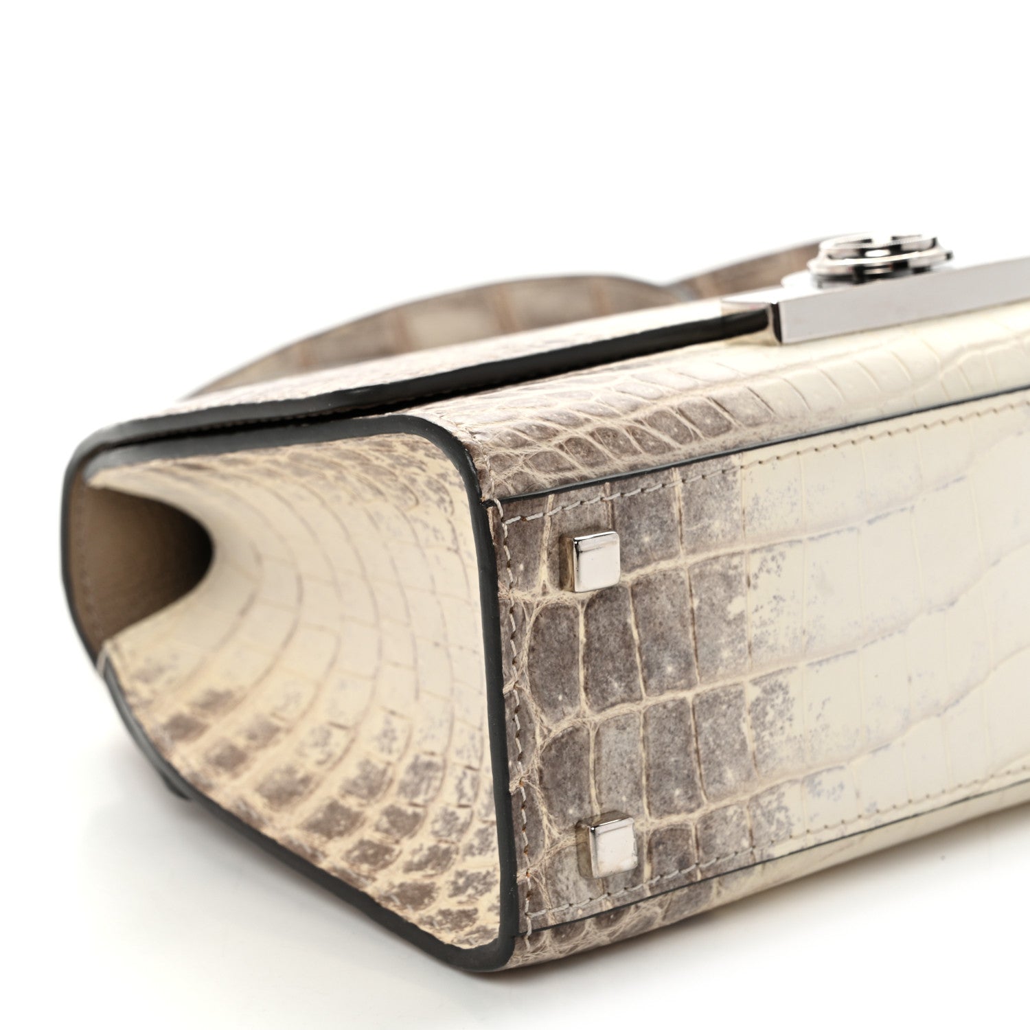 Niloticus Crocodile Himalaya Rejane BB White