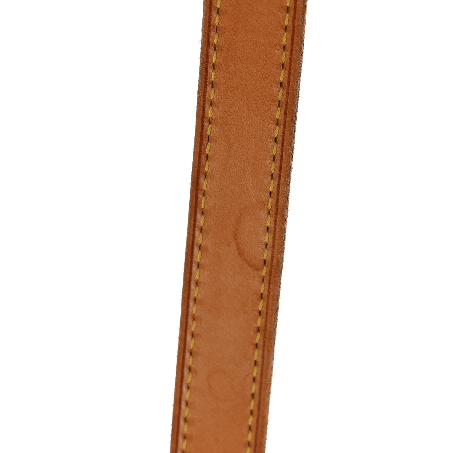 Monogram Ellipse GM Shopping Bag