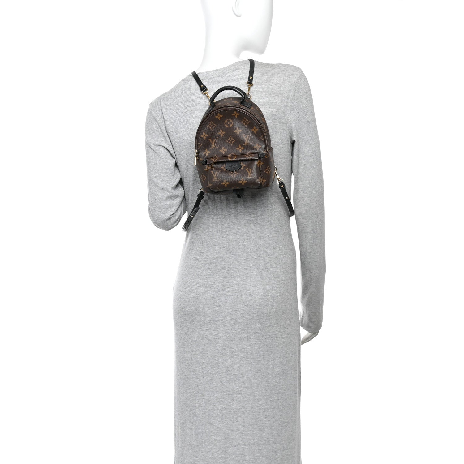 Monogram Palm Springs Backpack Mini