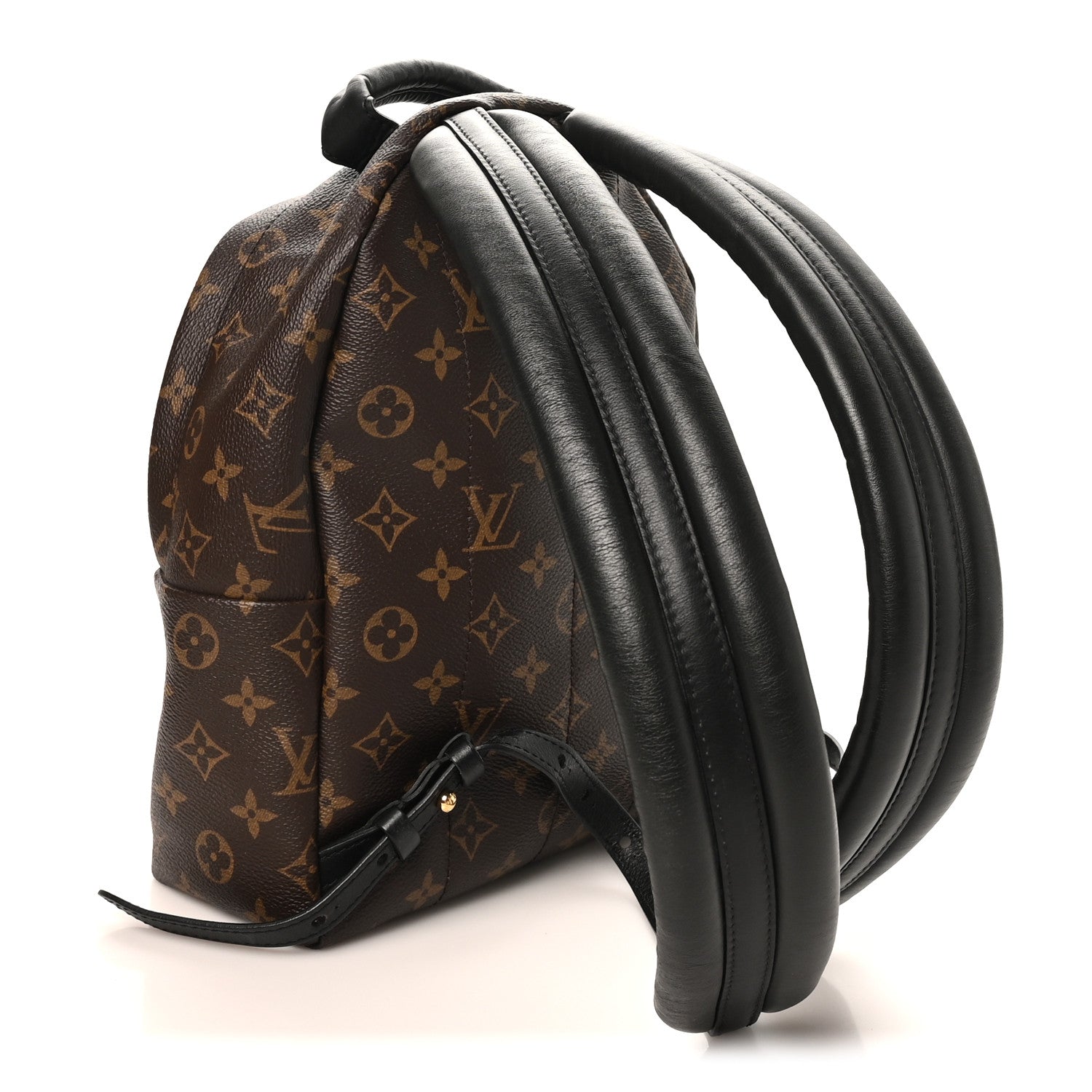 Monogram Palm Springs Backpack PM
