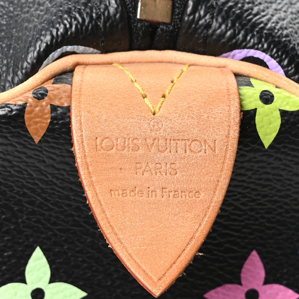 Monogram Multicolor Speedy 30 Black