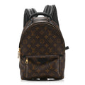 Monogram Palm Springs Backpack PM