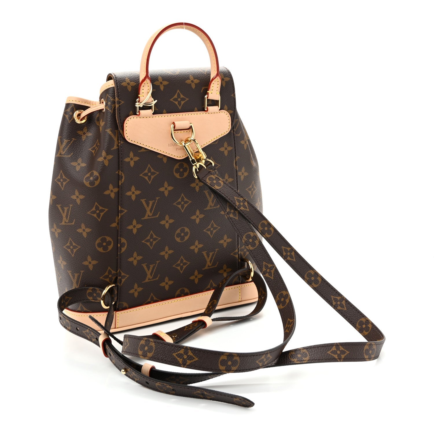 Monogram Montsouris PM Backpack
