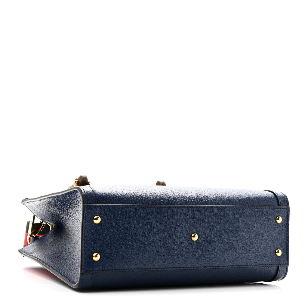 Textured Dollar Calfskin Web Small Diana Tote Bag Royal Crop