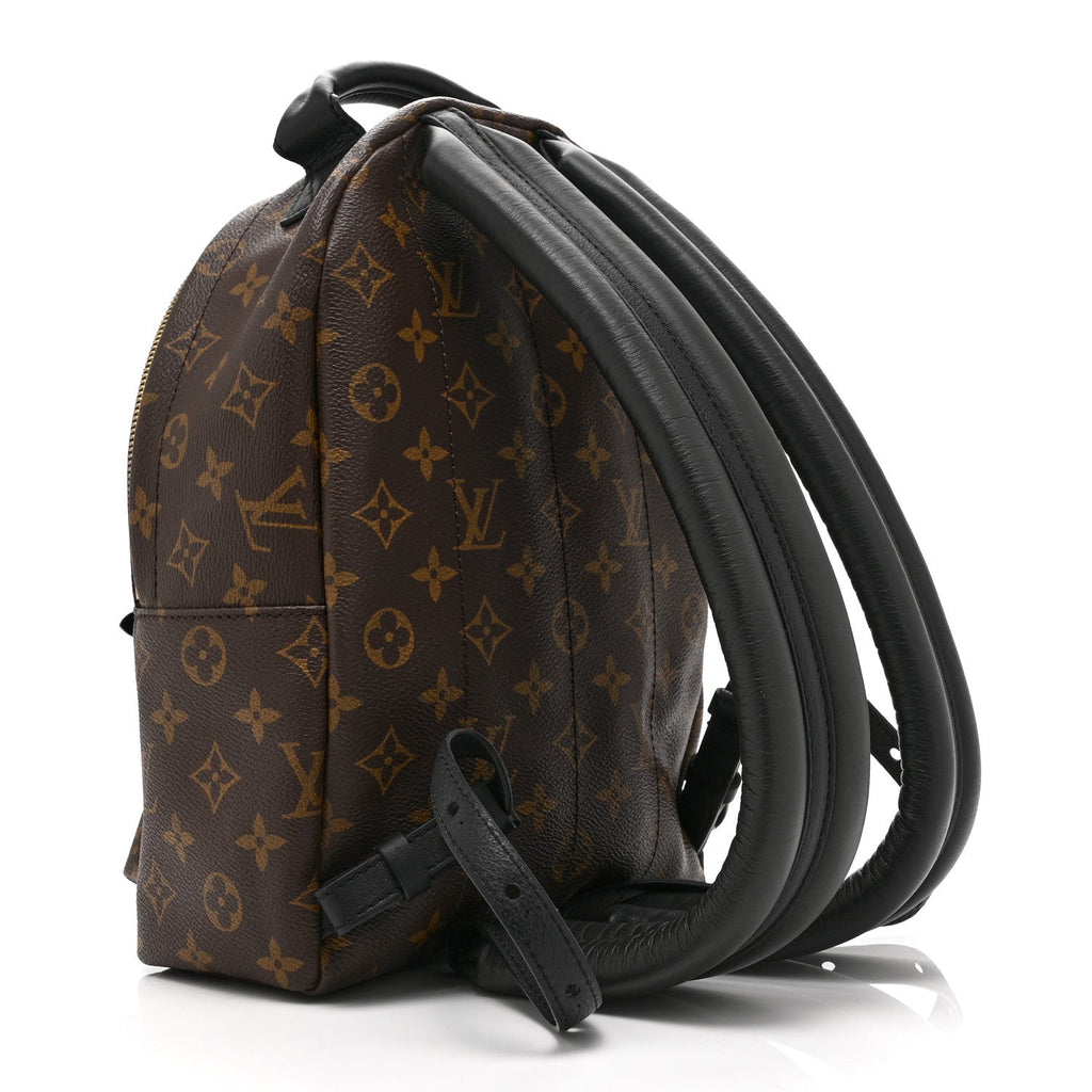 Monogram Palm Springs Backpack PM