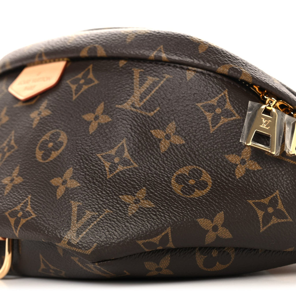 Monogram Bumbag