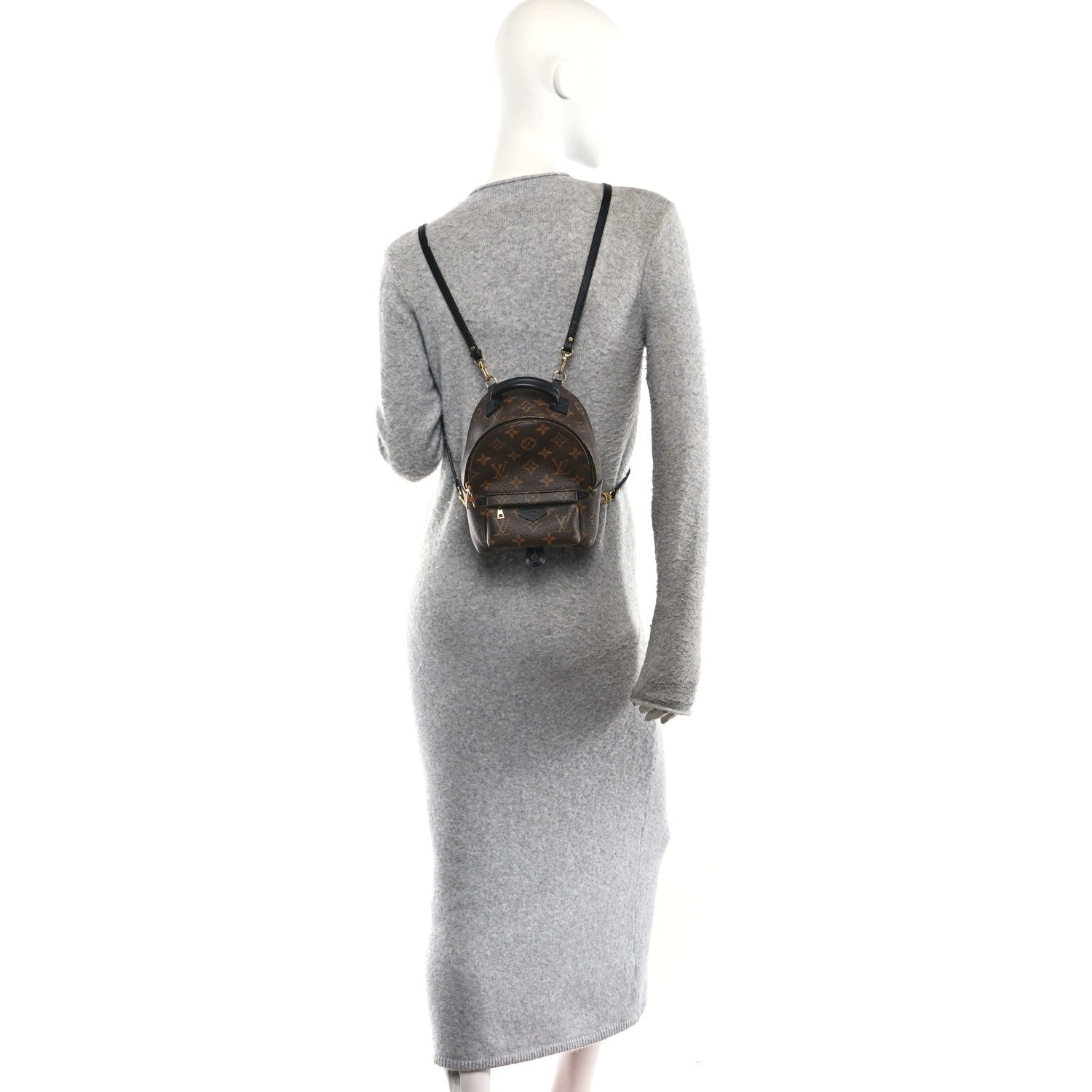 Monogram Palm Springs Backpack Mini